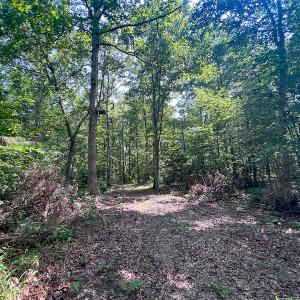 Photo #29 of SOLD property in Off Clifton Road, Beaverdam, VA 36.7 acres