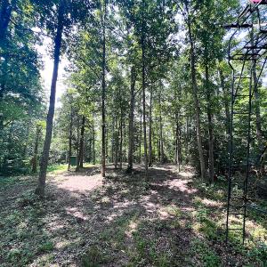 Photo #30 of SOLD property in Off Clifton Road, Beaverdam, VA 36.7 acres
