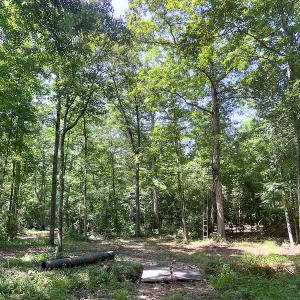 Photo #32 of SOLD property in Off Clifton Road, Beaverdam, VA 36.7 acres