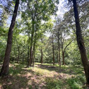 Photo #33 of SOLD property in Off Clifton Road, Beaverdam, VA 36.7 acres