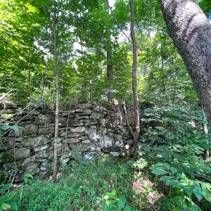 Photo #34 of SOLD property in Off Clifton Road, Beaverdam, VA 36.7 acres