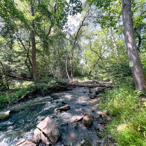 Photo #35 of SOLD property in Off Clifton Road, Beaverdam, VA 36.7 acres