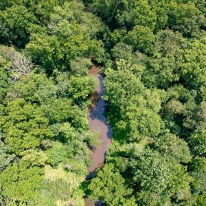 Photo #36 of SOLD property in Off Clifton Road, Beaverdam, VA 36.7 acres
