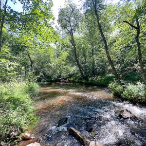 Photo #37 of SOLD property in Off Clifton Road, Beaverdam, VA 36.7 acres