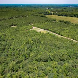 Photo #39 of SOLD property in Off Clifton Road, Beaverdam, VA 36.7 acres