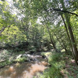 Photo #41 of SOLD property in Off Clifton Road, Beaverdam, VA 36.7 acres