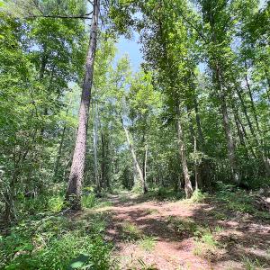 Photo #44 of SOLD property in Off Clifton Road, Beaverdam, VA 36.7 acres
