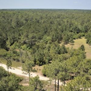 Photo #5 of SOLD property in 255 Whippoorwill Lane, Sneads Ferry, NC 3.1 acres