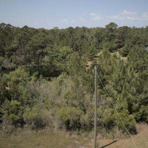 Photo #6 of SOLD property in 255 Whippoorwill Lane, Sneads Ferry, NC 3.1 acres