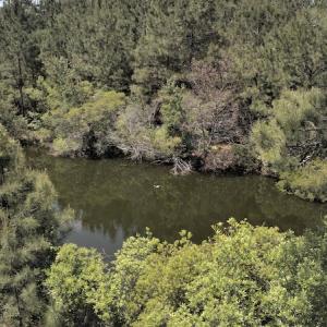 Photo #9 of SOLD property in 255 Whippoorwill Lane, Sneads Ferry, NC 3.1 acres