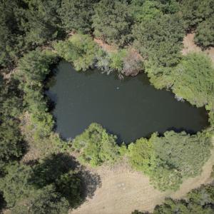 Photo #11 of SOLD property in 255 Whippoorwill Lane, Sneads Ferry, NC 3.1 acres