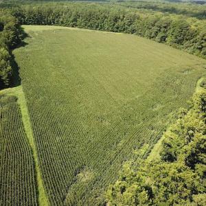 Photo #2 of SOLD property in Off Whachapreague Rd , Wachapreague, VA 40.0 acres