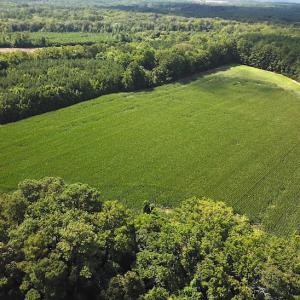 Photo #3 of SOLD property in Off Whachapreague Rd , Wachapreague, VA 40.0 acres