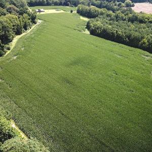 Photo #4 of SOLD property in Off Whachapreague Rd , Wachapreague, VA 40.0 acres