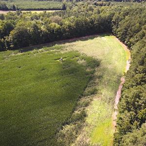 Photo #5 of SOLD property in Off Whachapreague Rd , Wachapreague, VA 40.0 acres