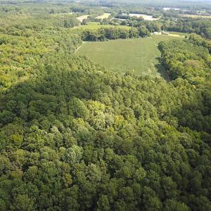 Photo #6 of SOLD property in Off Whachapreague Rd , Wachapreague, VA 40.0 acres