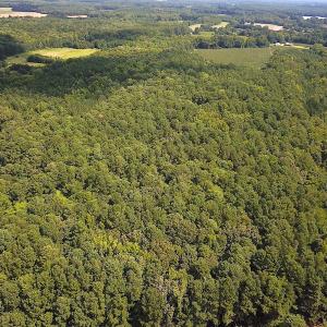 Photo #7 of SOLD property in Off Whachapreague Rd , Wachapreague, VA 40.0 acres