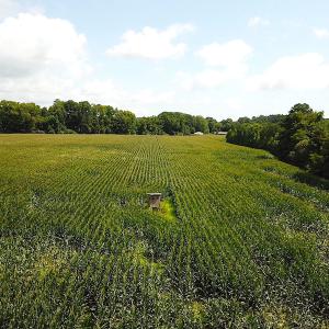 Photo #8 of SOLD property in Off Whachapreague Rd , Wachapreague, VA 40.0 acres