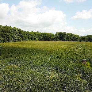 Photo #9 of SOLD property in Off Whachapreague Rd , Wachapreague, VA 40.0 acres