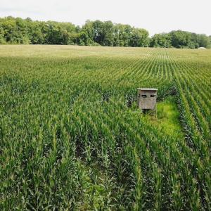Photo #10 of SOLD property in Off Whachapreague Rd , Wachapreague, VA 40.0 acres