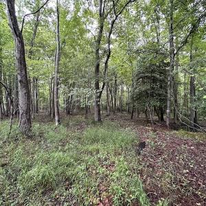 Photo #13 of SOLD property in Off Whachapreague Rd , Wachapreague, VA 40.0 acres