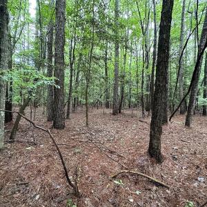 Photo #30 of SOLD property in Off Whachapreague Rd , Wachapreague, VA 40.0 acres