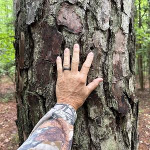 Photo #33 of SOLD property in Off Whachapreague Rd , Wachapreague, VA 40.0 acres