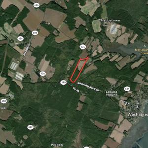Photo #55 of SOLD property in Off Whachapreague Rd , Wachapreague, VA 40.0 acres
