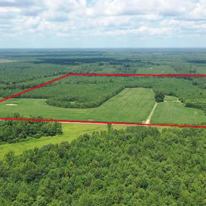 Photo #2 of SOLD property in Off River Town Rd, Yale, VA 90.0 acres
