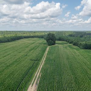 Photo #5 of SOLD property in Off River Town Rd, Yale, VA 90.0 acres