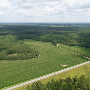 Photo #3 of SOLD property in Off River Town Rd, Yale, VA 90.0 acres