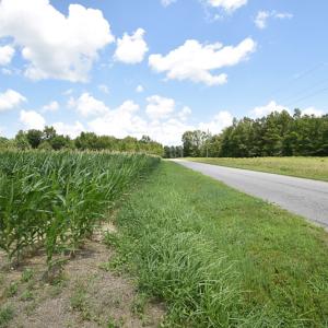 Photo #7 of SOLD property in Off River Town Rd, Yale, VA 90.0 acres