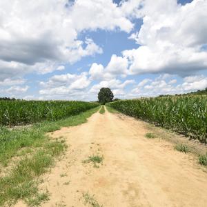 Photo #9 of SOLD property in Off River Town Rd, Yale, VA 90.0 acres