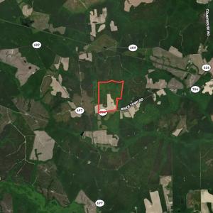 Photo #16 of SOLD property in Off River Town Rd, Yale, VA 90.0 acres
