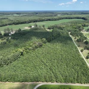 Photo #3 of SOLD property in Off NC HWY 32 N, Corapeake, NC 10.0 acres