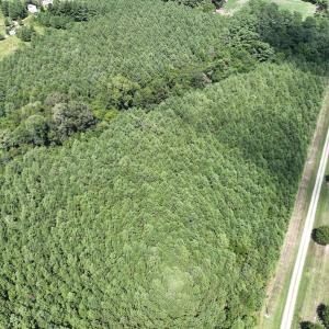 Photo #4 of SOLD property in Off NC HWY 32 N, Corapeake, NC 10.0 acres