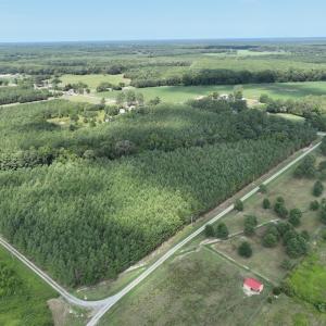 Photo #7 of SOLD property in Off NC HWY 32 N, Corapeake, NC 10.0 acres