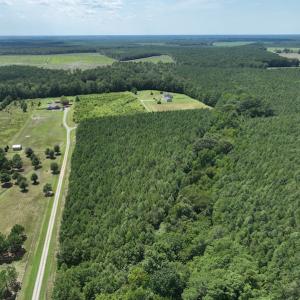 Photo #10 of SOLD property in Off NC HWY 32 N, Corapeake, NC 10.0 acres