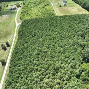 Photo #12 of SOLD property in Off NC HWY 32 N, Corapeake, NC 10.0 acres