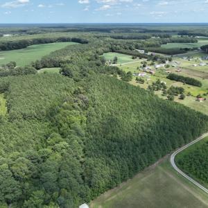 Photo #14 of SOLD property in Off NC HWY 32 N, Corapeake, NC 10.0 acres