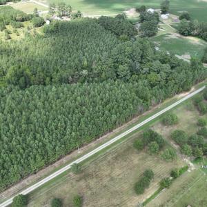 Photo #15 of SOLD property in Off NC HWY 32 N, Corapeake, NC 10.0 acres