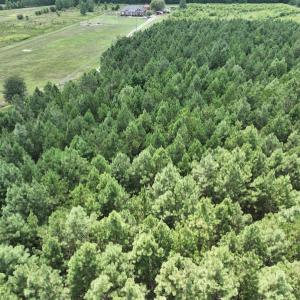 Photo #17 of SOLD property in Off NC HWY 32 N, Corapeake, NC 10.0 acres