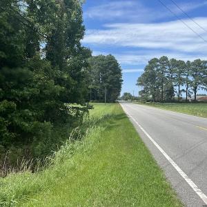 Photo #19 of SOLD property in Off NC HWY 32 N, Corapeake, NC 10.0 acres