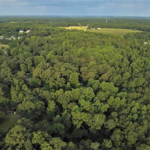 Photo #8 of SOLD property in Off Dunn Rd, Eastover, NC 23.8 acres