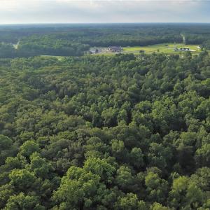 Photo #9 of SOLD property in Off Dunn Rd, Eastover, NC 23.8 acres