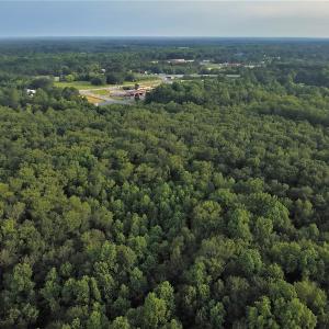 Photo #5 of SOLD property in Off Dunn Rd, Eastover, NC 23.8 acres