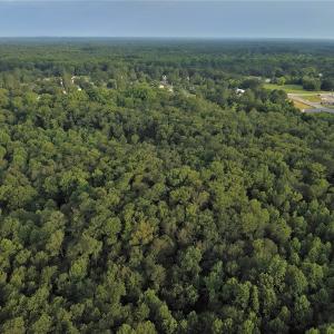Photo #6 of SOLD property in Off Dunn Rd, Eastover, NC 23.8 acres