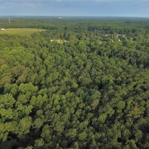 Photo #7 of SOLD property in Off Dunn Rd, Eastover, NC 23.8 acres