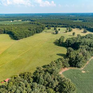 Photo #6 of SOLD property in Off Pope Station Rd, Capron, VA 70.0 acres