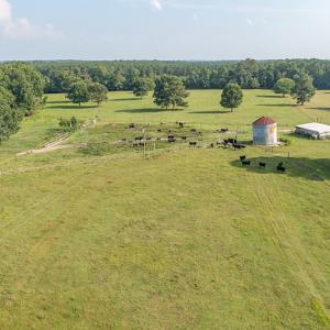 Photo #5 of SOLD property in Off Pope Station Rd, Capron, VA 70.0 acres